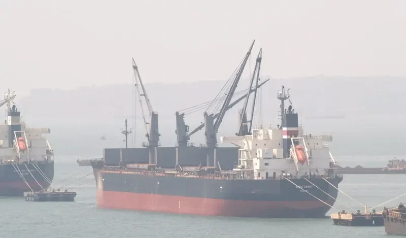 NEW DESTINY Bulk Carrier IMO 9557056 photo 8