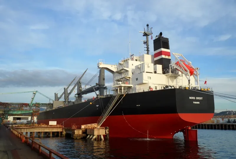 NEW DESTINY Bulk Carrier IMO 9557056 photo 9