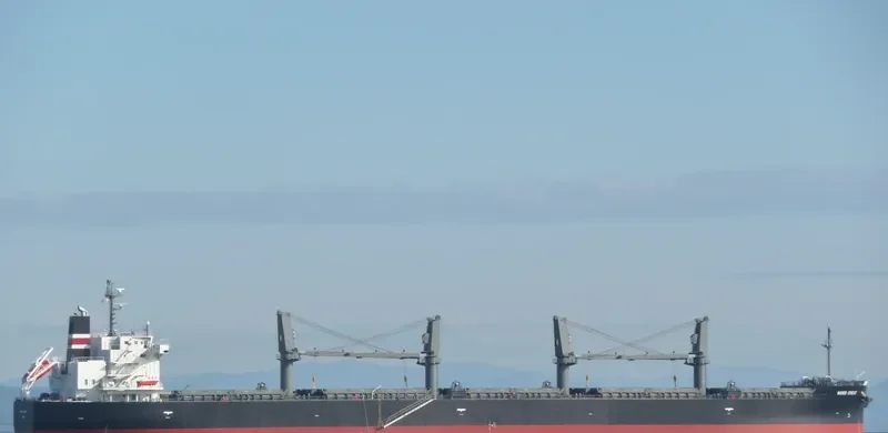 NEW DESTINY Bulk Carrier IMO 9557056 photo 10