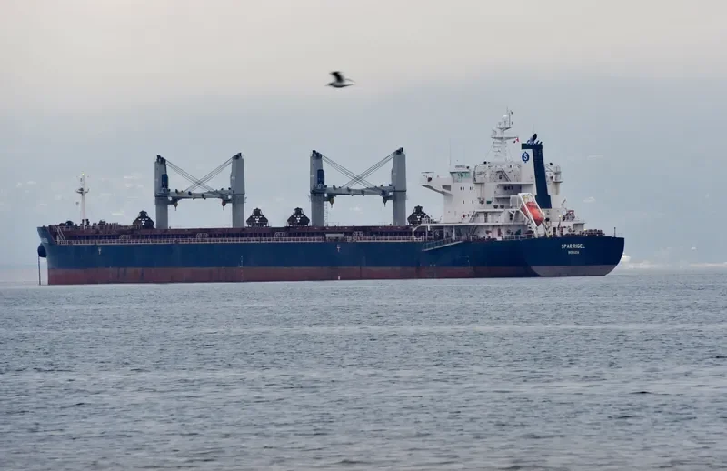 SPAR RIGEL Bulk Carrier IMO 9557111 photo 4