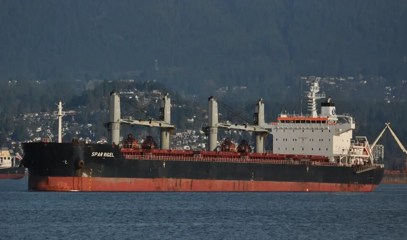 SPAR RIGEL Bulk Carrier IMO 9557111 photo 5
