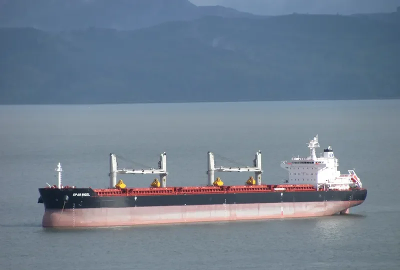 SPAR RIGEL Bulk Carrier IMO 9557111 photo 10