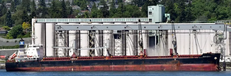 GENCO AUVERGNE Bulk Carrier IMO 9557123 photo 2