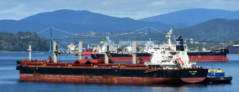 GENCO AUVERGNE Bulk Carrier IMO 9557123 photo 6