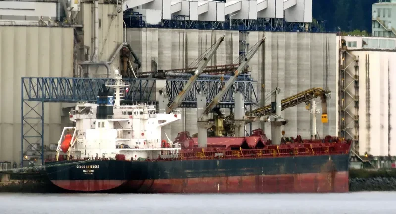 GENCO AUVERGNE Bulk Carrier IMO 9557123 photo 8
