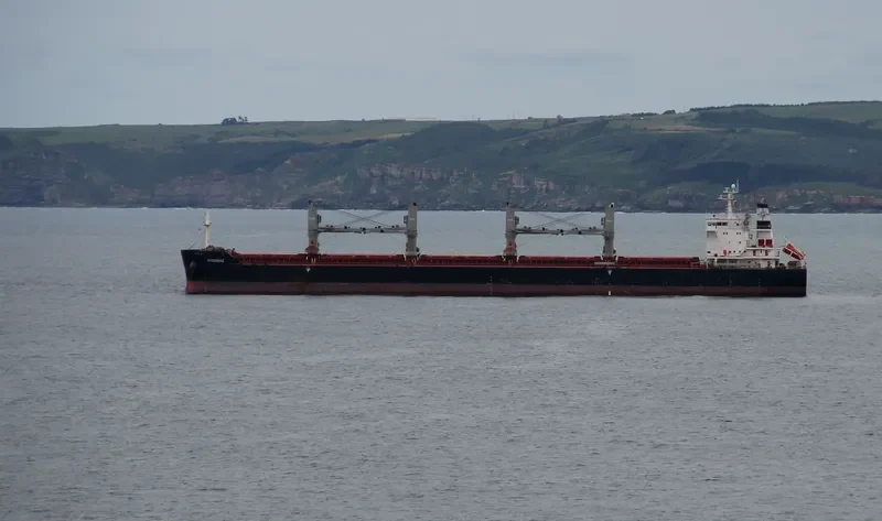 ROW Bulk Carrier IMO 9557135 photo 9
