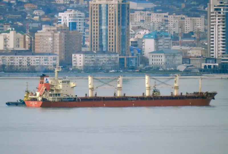 GOLDEN MAPLE Bulk Carrier IMO 9557214 photo 5