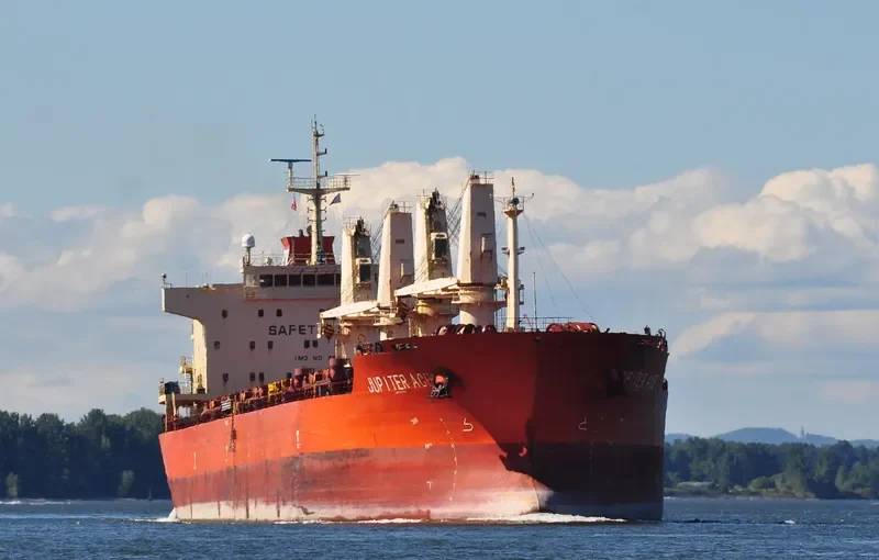 GOLDEN MAPLE Bulk Carrier IMO 9557214 photo 7