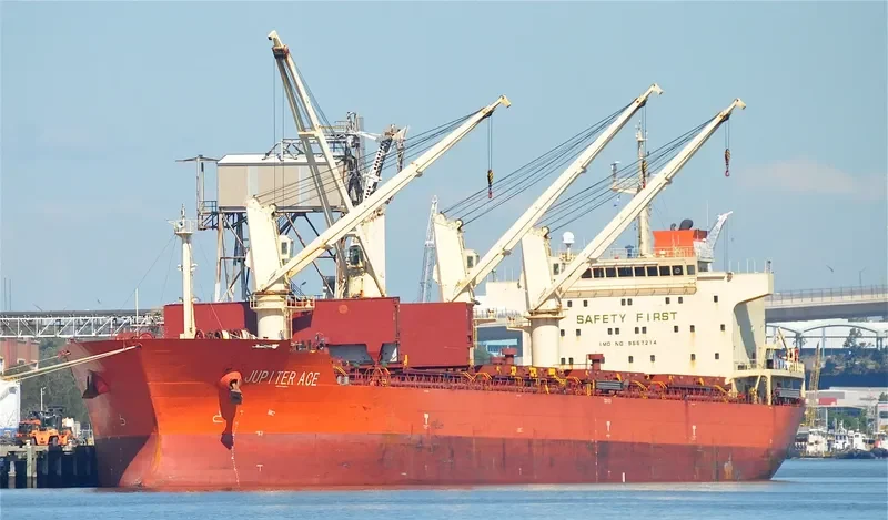 GOLDEN MAPLE Bulk Carrier IMO 9557214 photo 8