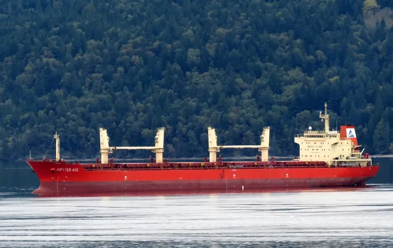 GOLDEN MAPLE Bulk Carrier IMO 9557214 photo 9