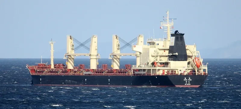 SEA TOPAZ Bulk Carrier IMO 9557240 photo 10