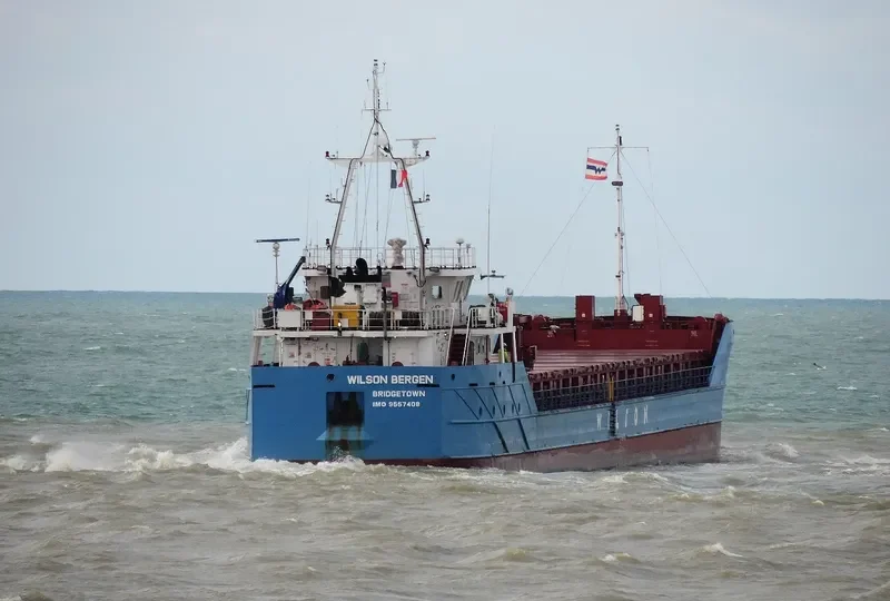 WILSON BERGEN General Cargo IMO 9557408 photo 2