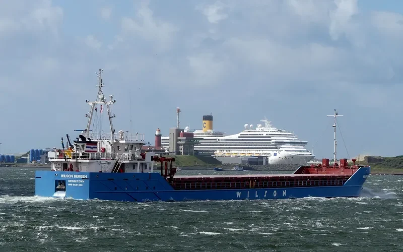 WILSON BERGEN General Cargo IMO 9557408 photo 10
