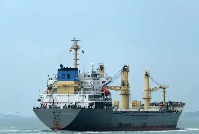 LEMIN General Cargo IMO 9557472
