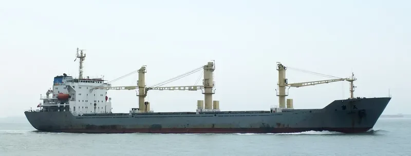 LEMIN General Cargo IMO 9557472 photo 5