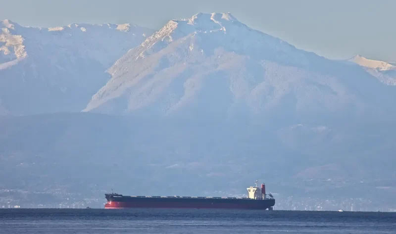 SPRING BRIGHT Bulk Carrier IMO 9557862