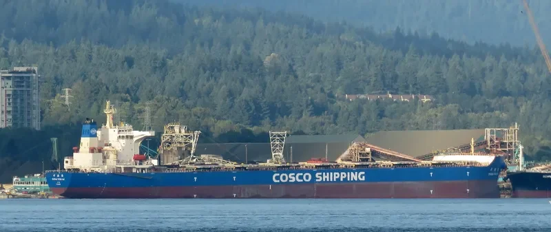 ZHONG TENG HAI Bulk Carrier IMO 9558074 photo 5