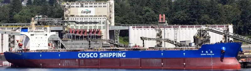 ZHONG TENG HAI Bulk Carrier IMO 9558074 photo 7