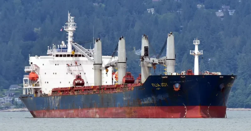 FILIA JOY Bulk Carrier IMO 9558153 photo 4