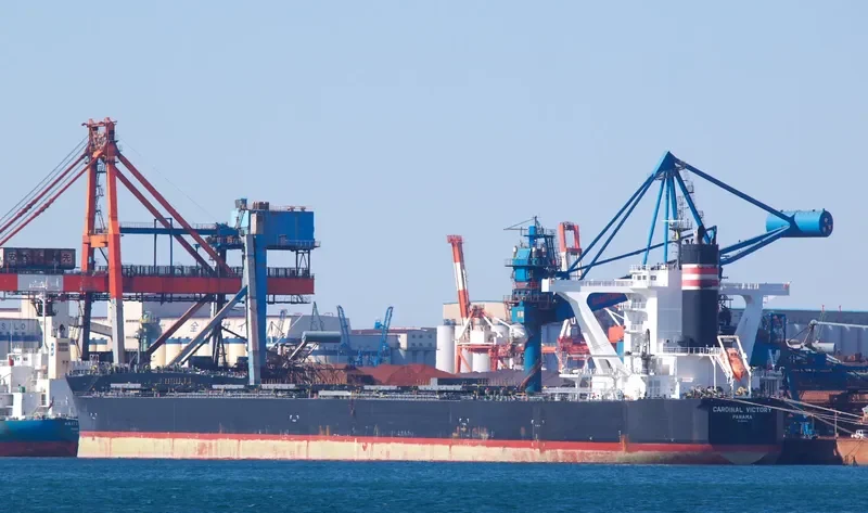 CARDINAL VICTORY Bulk Carrier IMO 9558165 photo 4