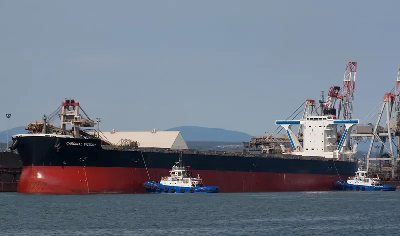 CARDINAL VICTORY Bulk Carrier IMO 9558165 photo 6