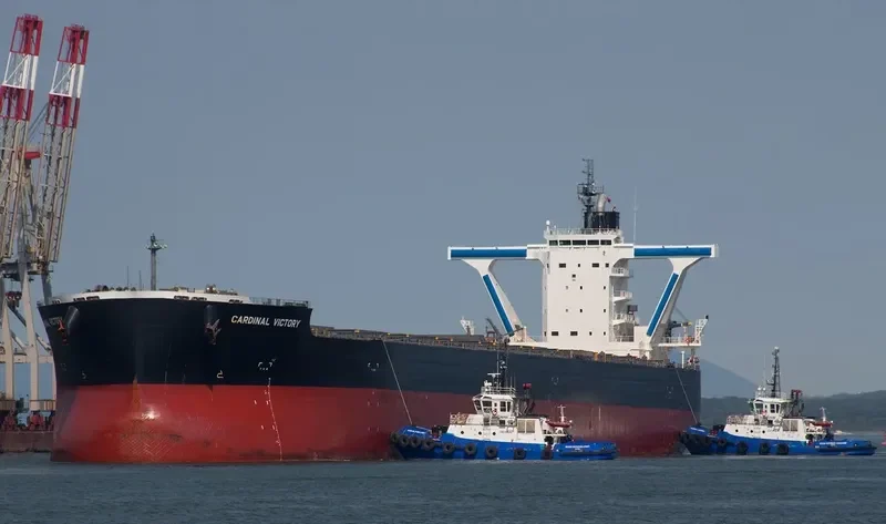 CARDINAL VICTORY Bulk Carrier IMO 9558165 photo 7