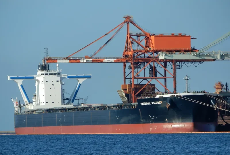 CARDINAL VICTORY Bulk Carrier IMO 9558165 photo 9