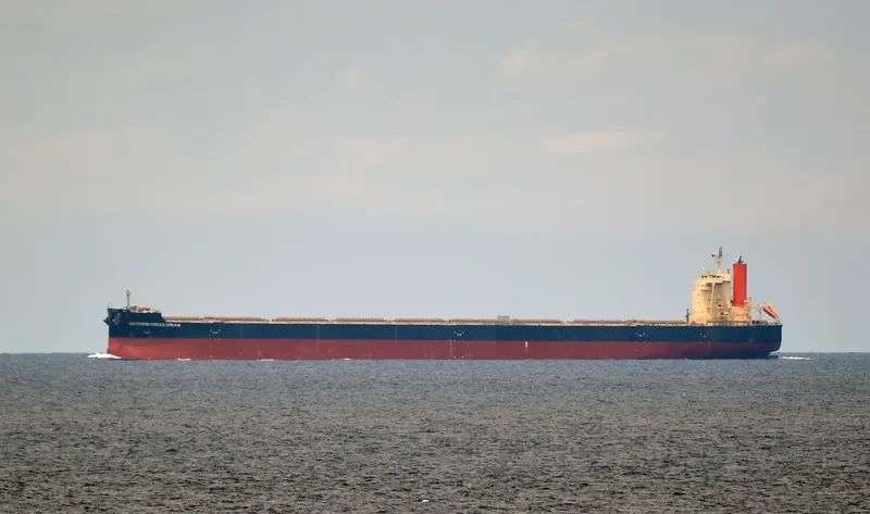 SOUTHERN CROSS DREAM Bulk Carrier IMO 9558189 photo 3
