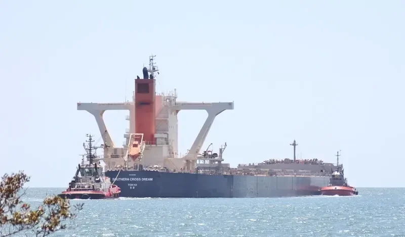 SOUTHERN CROSS DREAM Bulk Carrier IMO 9558189 photo 5