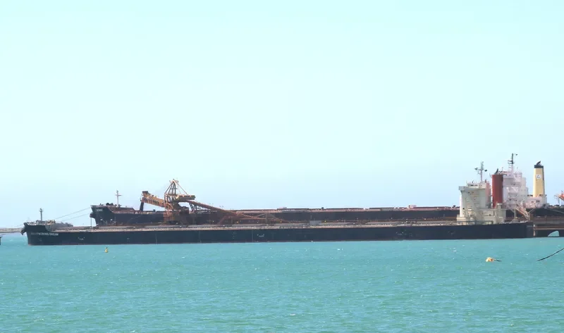 SOUTHERN CROSS DREAM Bulk Carrier IMO 9558189 photo 6