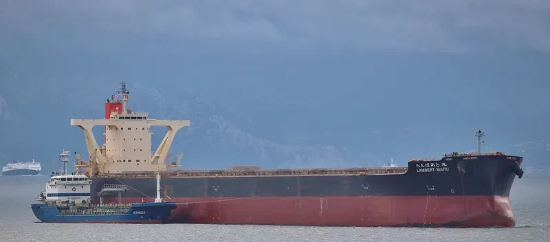 LAMBERT MARU Bulk Carrier IMO 9558206 photo 2