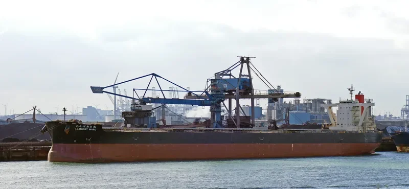 LAMBERT MARU Bulk Carrier IMO 9558206 photo 3