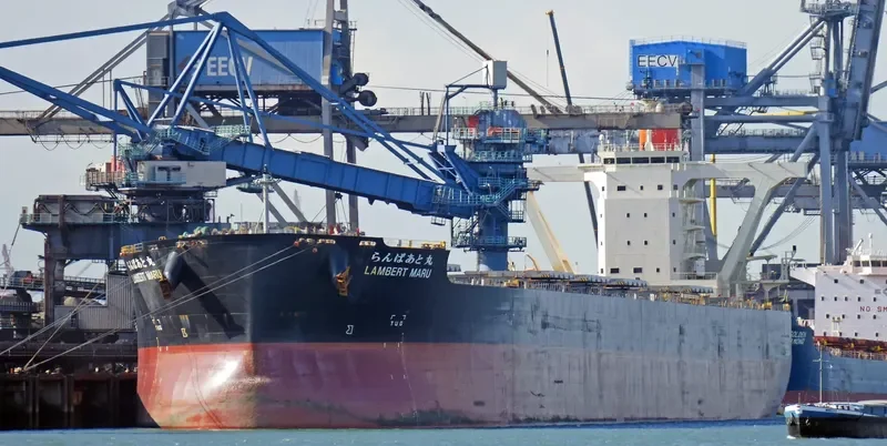 LAMBERT MARU Bulk Carrier IMO 9558206 photo 4