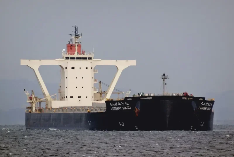 LAMBERT MARU Bulk Carrier IMO 9558206 photo 5