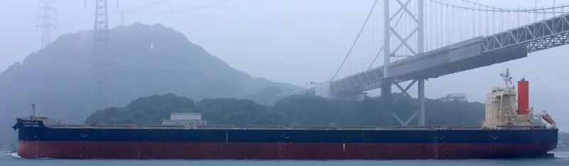 LAMBERT MARU Bulk Carrier IMO 9558206 photo 8