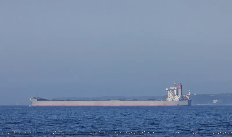 CAPE SAMPAGITA Bulk Carrier IMO 9558220 photo 7