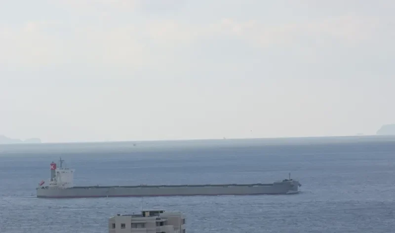 CAPE SAMPAGITA Bulk Carrier IMO 9558220 photo 8