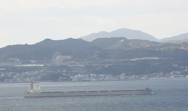 CAPE SAMPAGITA Bulk Carrier IMO 9558220 photo 9