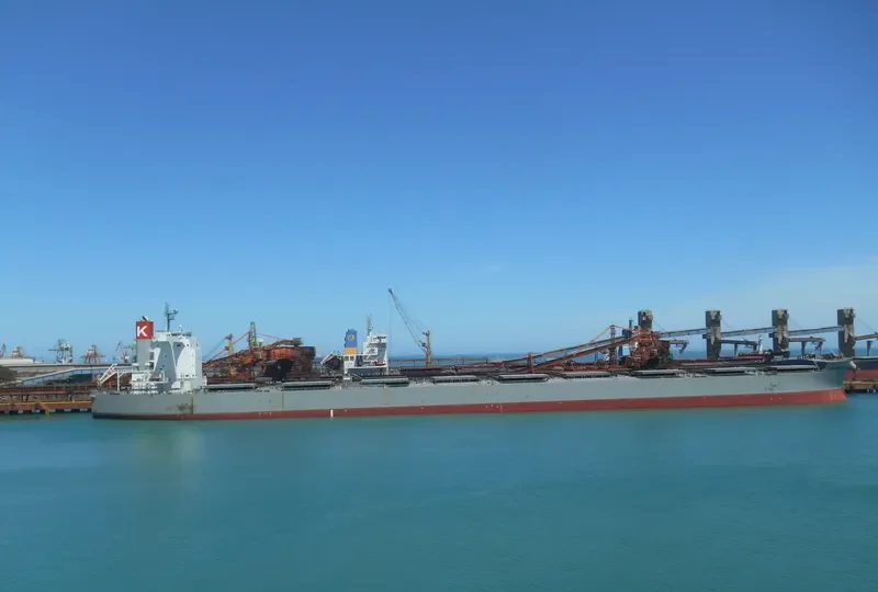 CAPE NORMANDY Bulk Carrier IMO 9558232 photo 3