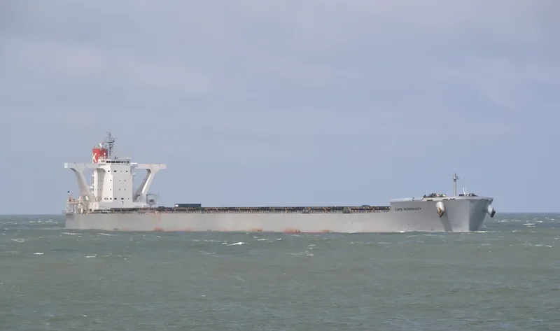 CAPE NORMANDY Bulk Carrier IMO 9558232 photo 4