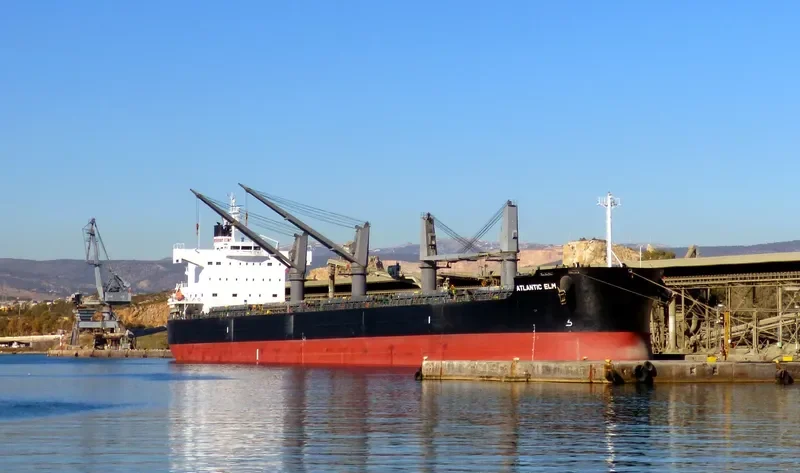 ATLANTIC ELM Bulk Carrier IMO 9558244 photo 3