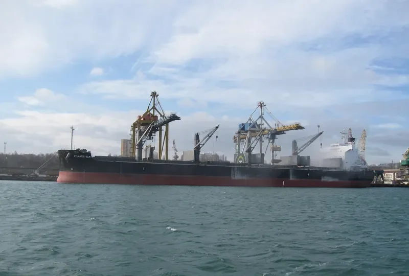 ATLANTIC ELM Bulk Carrier IMO 9558244 photo 4