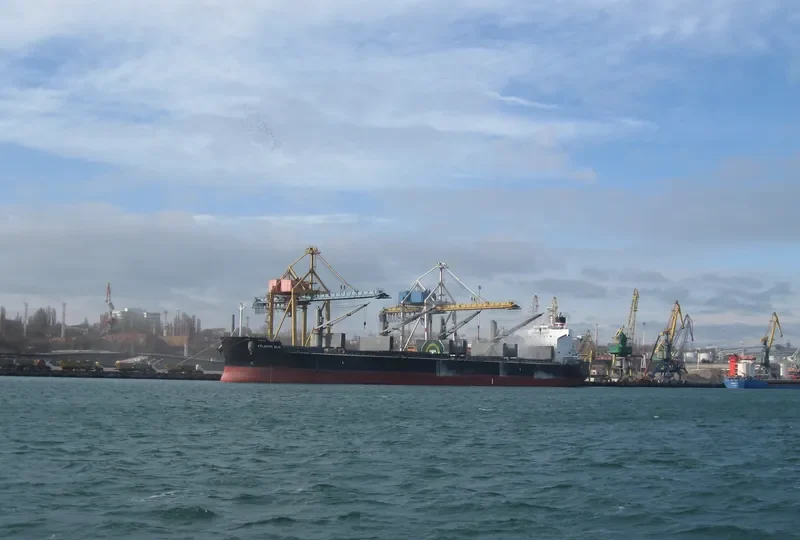 ATLANTIC ELM Bulk Carrier IMO 9558244 photo 5