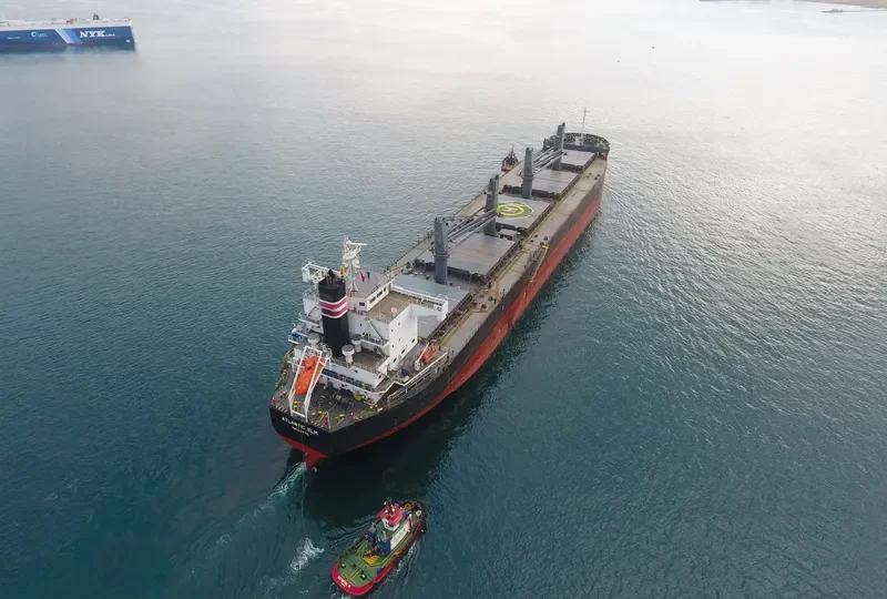 ATLANTIC ELM Bulk Carrier IMO 9558244 photo 8