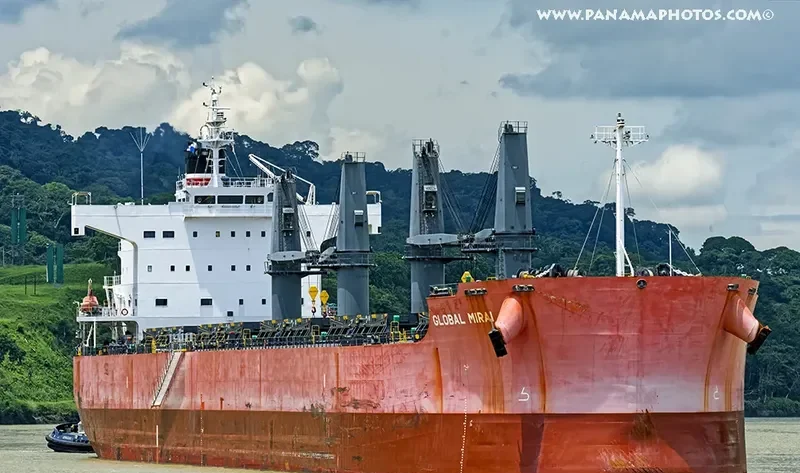 GLOBAL MIRAI Bulk Carrier IMO 9558256 photo 2