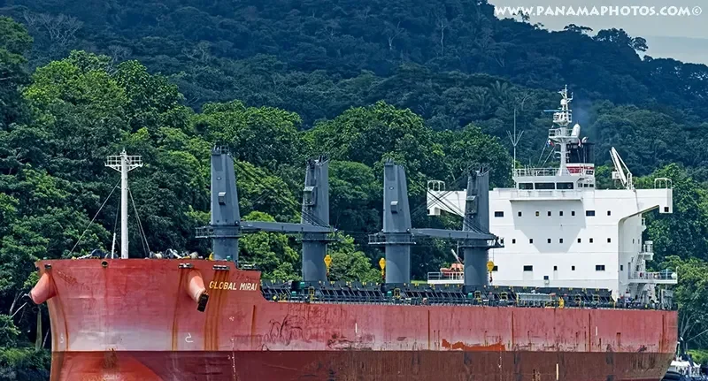 GLOBAL MIRAI Bulk Carrier IMO 9558256 photo 3