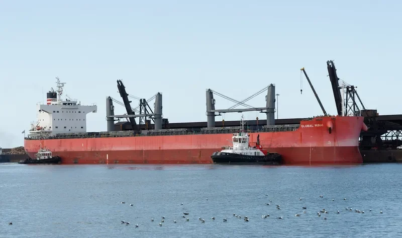 GLOBAL MIRAI Bulk Carrier IMO 9558256 photo 4