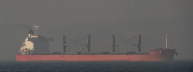 GLOBAL MIRAI Bulk Carrier IMO 9558256 photo 6