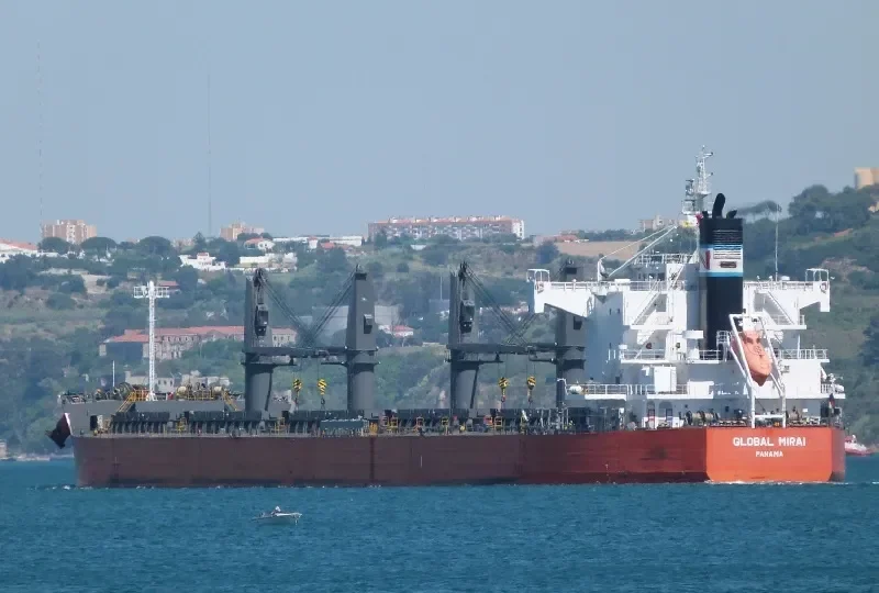 GLOBAL MIRAI Bulk Carrier IMO 9558256 photo 7