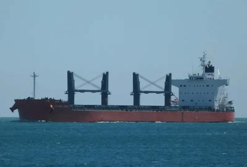 GLOBAL MIRAI Bulk Carrier IMO 9558256 photo 8